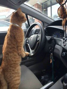 Photo courtesy of Eva Dudla