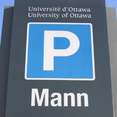 daily_visitors_thumbnail