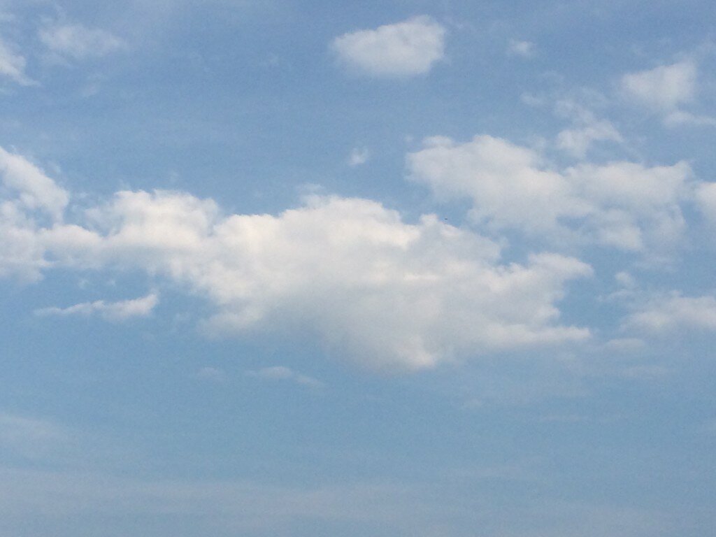 Growing debt doesn't necessarily mean clouds on the Air Canada's financial horizon, say experts.